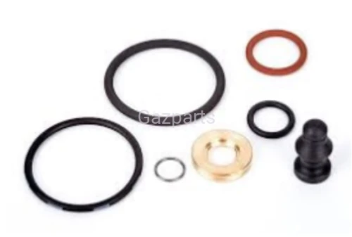 ZESTAW NAPRAWCZY POMPOWTRYSKU VW ZAM. 60098 STAR