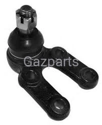 SWORZEŃ WAHACZA PRZEDN. DOLNY HONKER-MUSSO