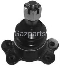 SWORZEŃ WAHACZA PRZEDN. GÓRNY. HONKER-MUSSO