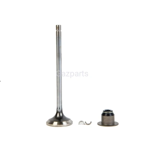 Zawór wydechowy set GAZELA CUMMINS ISF 2,8