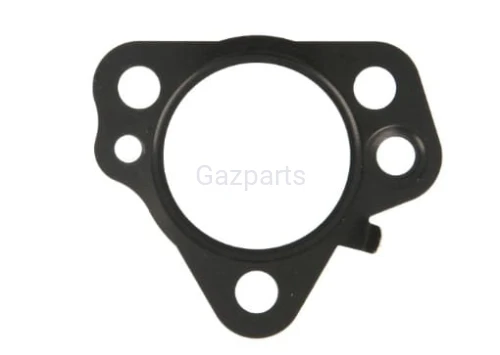 USZCZELKA POMPY DELPHI DPF6 52650/75