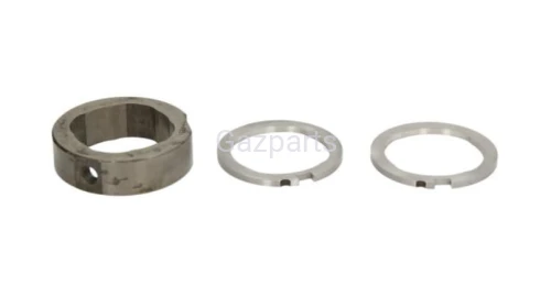 Krzywka pierścień pompy wtryskowej DP210 DELPHI