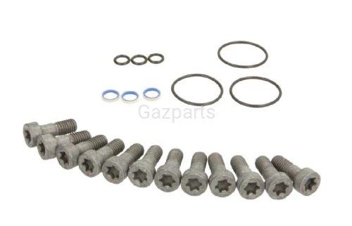 KPL. USZCZELEK ORINGI POMPY WTRYSK. SIEMENS ORG.