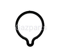 PIERŚCIEŃ USZCZELNIAJĄCY Z DZIUBKIEM POMPY CR CP1