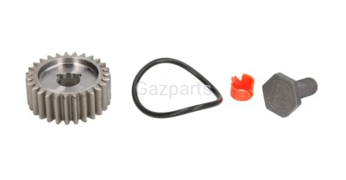 ZESTAW NAPRAWCZY POMPY DELPHI 28384347