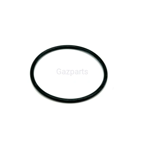 ORING POMPY DELPHI DP200, DPA