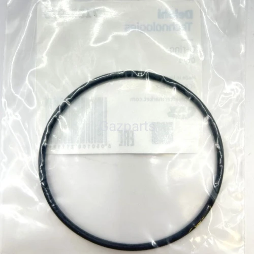 ORING POMPY DPA DELPHI