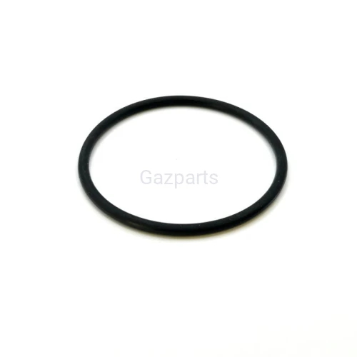 ORING POMPOWTRYSKIWACZA VW PDE-P1