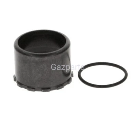 KOREK + ORING POMPOWTRYSKIWACZA BOSCH- ZESTAW