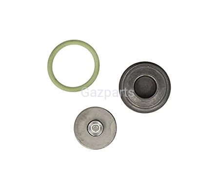 ZESTAW NAPRAWCZY POMPY WTRYSKOWEJ BOSCH