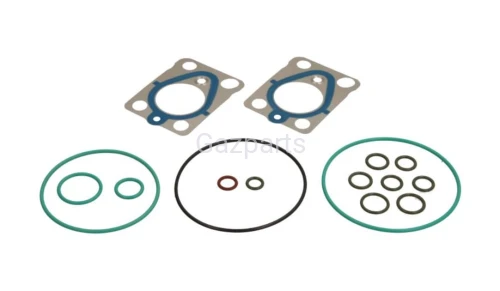 ZESTAW USZCZELEK ORINGÓW POMPY PALIWA LUCAS DELPHI