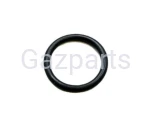 ORING SEKCJI POMPY WTR. MOTORPAL 19,3X2,4 30925/05 LUBLIN