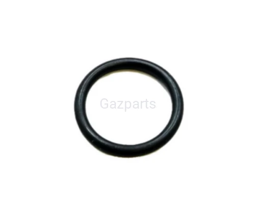 ORING SEKCJI POMPY WTR. MOTORPAL 19,3X2,4 30925/05 LUBLIN