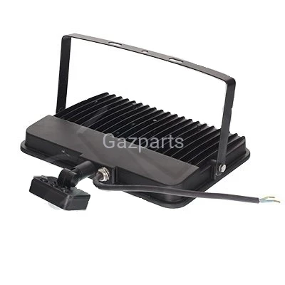 naświetlacz 100W PIR GMPQY1305SHH..jpg